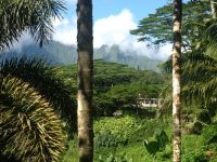 "Da wo der Himmel die Erde berührt" - auf Kauai ein Ort den wir besuchen in unseren Seminaren auf Kauai.
Schauen sie nach unseren aktuellen Angeboten:
www.alohana.de, copyright Susanne Rikus